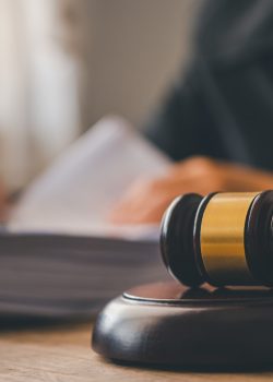 Law theme, mallet of the judge, law enforcement officers, evidence-based cases